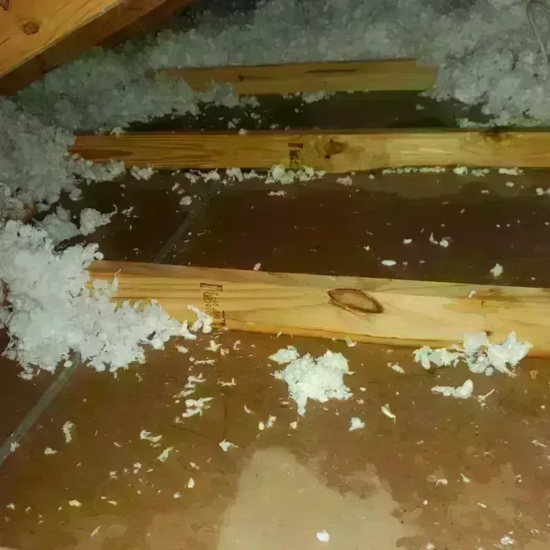 Attic Water Damage in Paris, TX